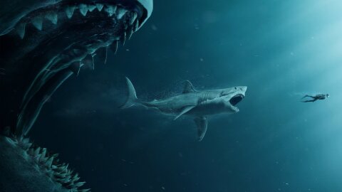 A big shark eating a big dude BUT itself being eaten by a larger shark, it's incredible. The Meg movie backdrop.