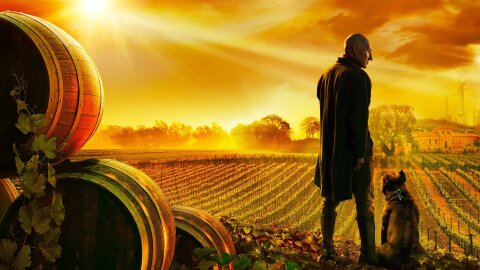 Picard and his dog on a peaceful vineyard in the future
