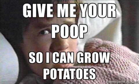 Haley Joel Osment poop potatoes meme
