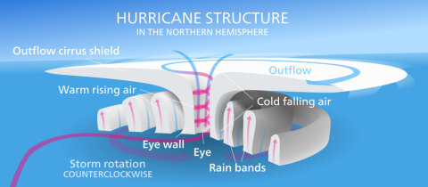 Diagram of the structure of a hurricane