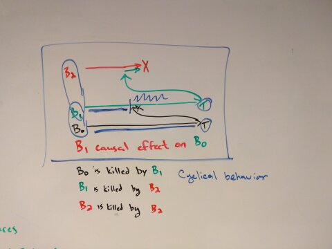 Our Looper timelines whiteboard diagram